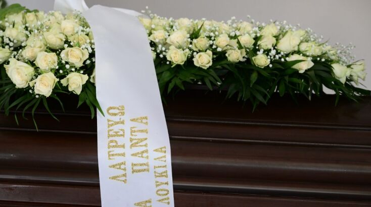 mimhs-plessas-khdeia__5_