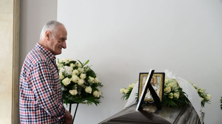 mimhs-plessas-khdeia__6_