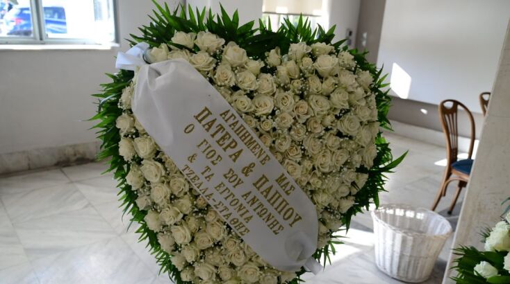 mimhs-plessas-khdeia__8_