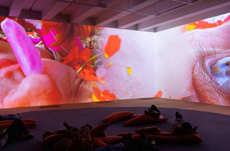 Pipilotti Rist, «Lüngenflugel» (Λοβός πνεύμονα) (2009)