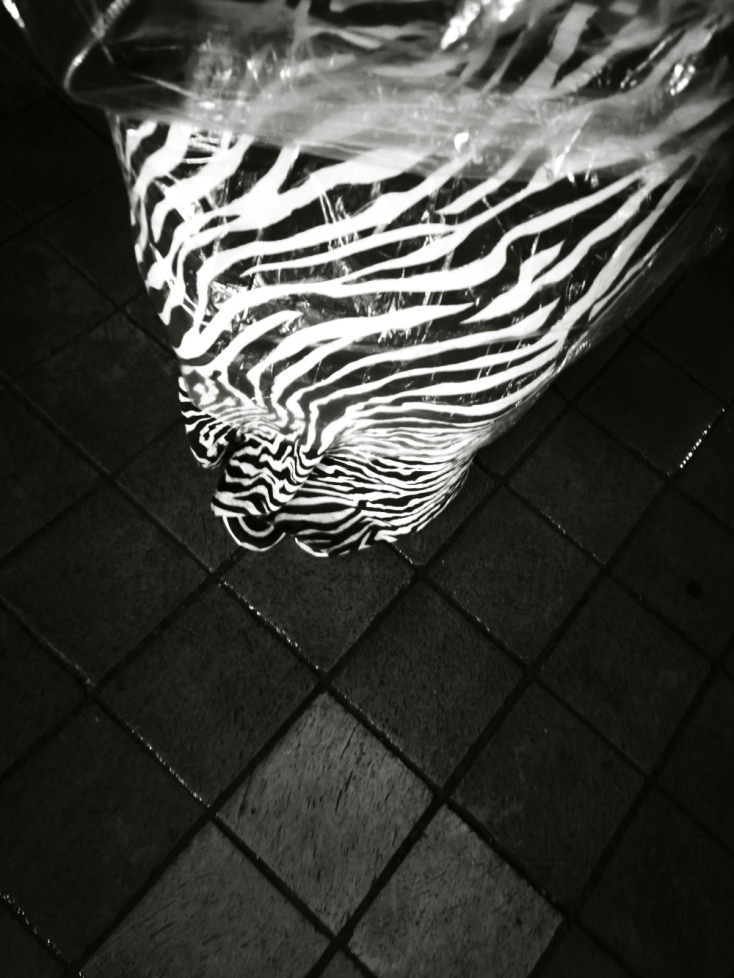 Φωτογραφία από το νέο Xiaomi 14T Pro 