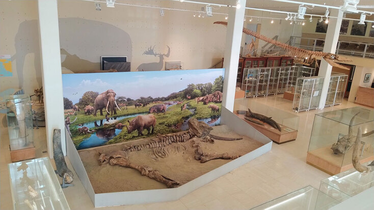 Μουσείο Παλαιοντολογίας και Γεωλογίας: Ένα διαφορετικό Jurassic Park στην Αθήνα