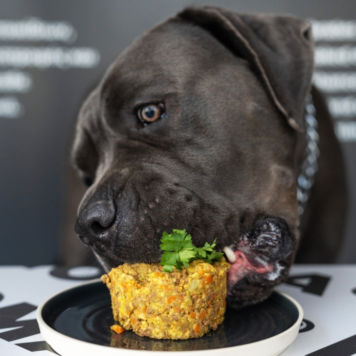 ΝΟΜΑ: Η Ιστορία πίσω από τη μεγαλύτερη εταιρεία μαγειρευτής τροφής κατοικίδιων στην Ελλάδα