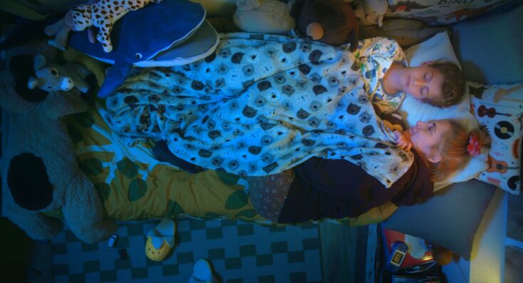 Τα τρία πρωτότυπα σποτ του 65ου Φεστιβάλ Κινηματογράφου Θεσσαλονίκης που παίζουν με τα θέματα των αφιερωμάτων του Φεστιβάλ: Εμείς, το τέρας / We, the Monster και Un-Family-ar. 