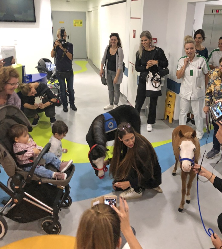 Gentle Carousel Greece Therapy Miniature Horses