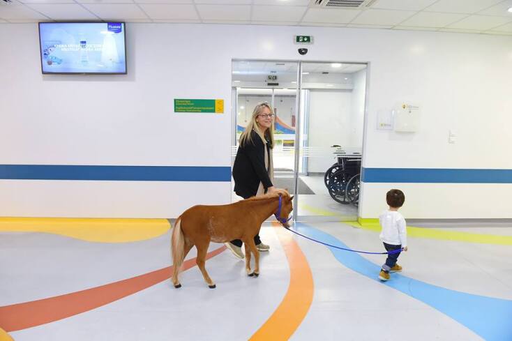 Gentle Carousel Greece Therapy Miniature Horses