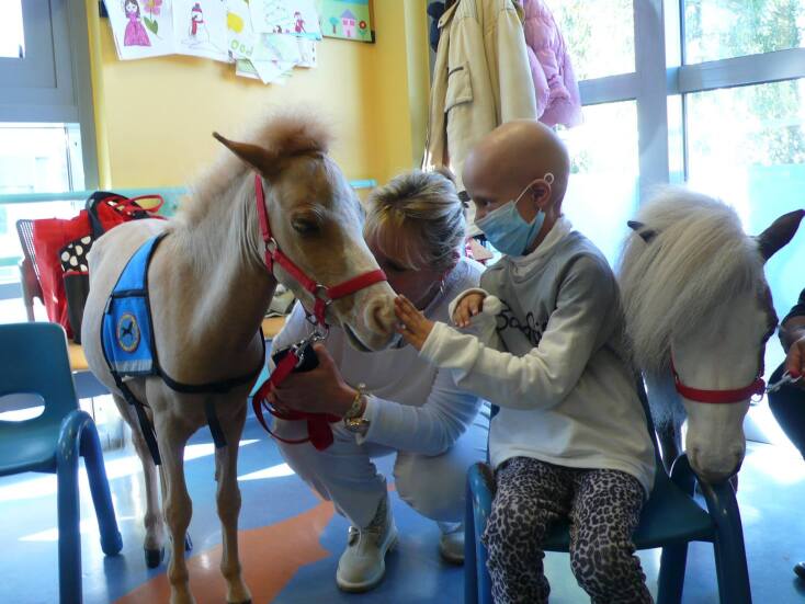 Gentle Carousel Greece Therapy Miniature Horses