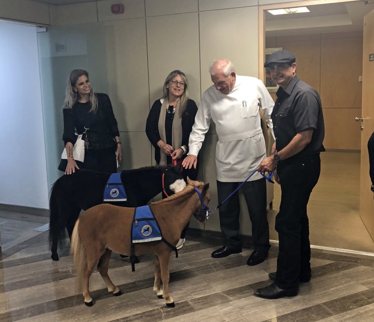 Gentle Carousel Greece Therapy Miniature Horses