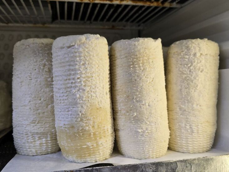 Τυροκομείο Παρνασσός, Λιβαδειά