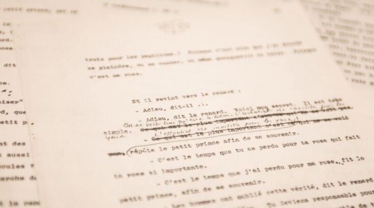 Στις σελίδες του υπάρχουν εκτενείς χειρόγραφες διορθώσεις του συγγραφέα