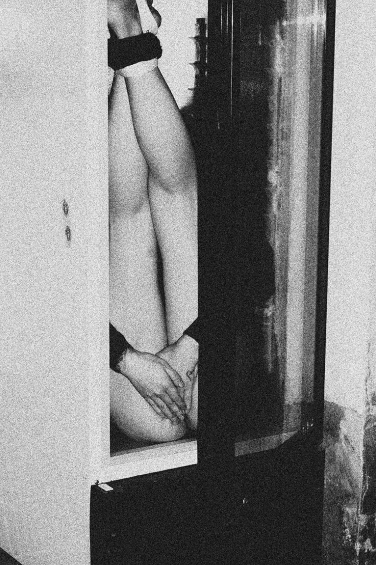 Xiu Liang, Ζώο αποθήκευσης 2016