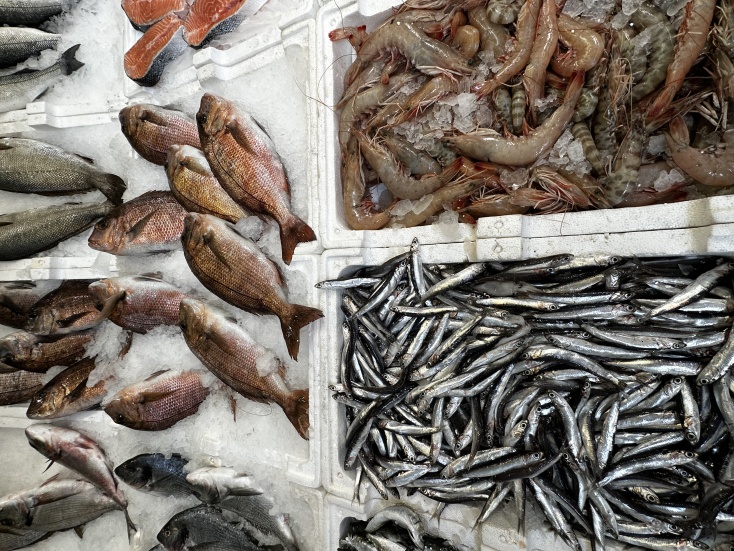 20241108_094947471_ios