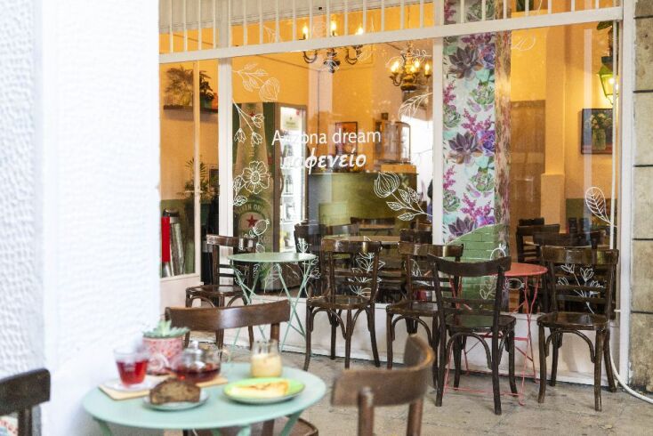 Arizona Dream, Κυψέλη