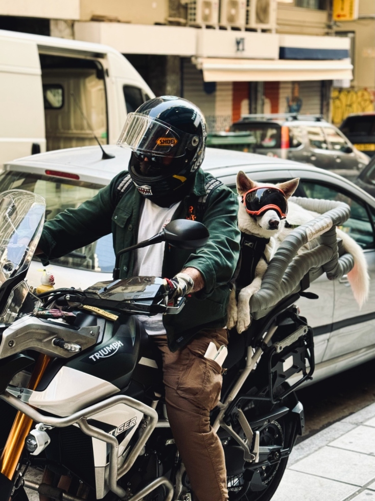 Ellie: Η διάσημη σκυλίτσα που ταξιδεύει ως συνοδηγός σε μοτοσικλέτα
