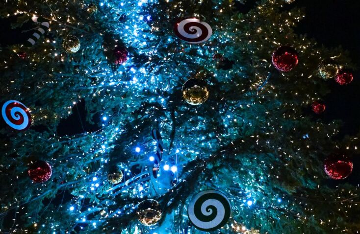 untitled_design_-_2024-11-28t201705_382