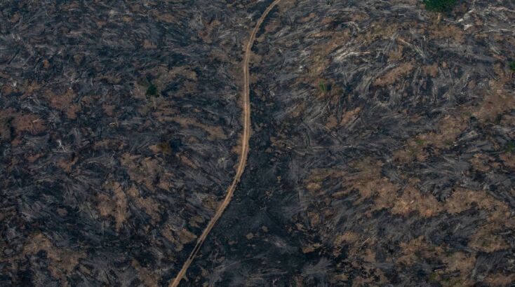 O Αμαζόνιος είχε τον υψηλότερο αριθμό πυρκαγιών που καταγράφηκε τους πρώτους τρεις μήνες του έτους από το 2016