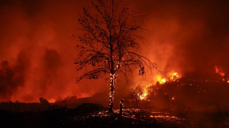 Η καταστροφική πυρκαγιά που έπληξε Γραμματικό, Μαραθώνα, Νέα Μάκρη, Παλαιά και Νέα Πεντέλη, αλλά και τη νότια πλευρά της Πεντέλης, τα Άνω Βριλήσσια και το Πάτημα Χαλανδρίου, μετέτρεψε άλλοτε καταπράσινα τοπία σε ένα απόκοσμο σκηνικό ερήμωσης και θλίψης. 