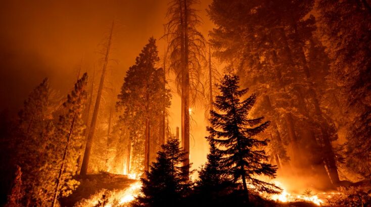 Η φωτιά στην Καλιφόρνια το φετινό καλοκαίρι έκαψε έκταση μεγαλύτερη από το Λος Άντζελες