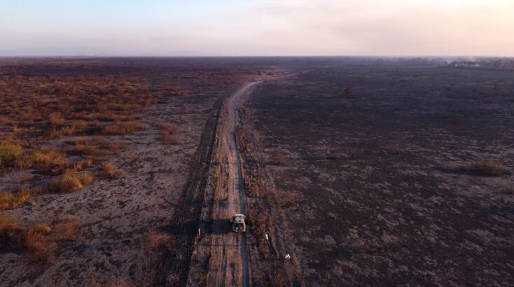 Η περιοχή του Αμαζωνίου βιώνει ξηρότερες συνθήκες από ό,τι στο παρελθόν, ένα φαινόμενο που συνδέεται στενά με την κλιματική αλλαγή και εντείνεται από το El Ninio