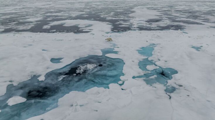 Αντιμέτωπη με συνθήκες «καύσωνα» και η Ανταρκτική