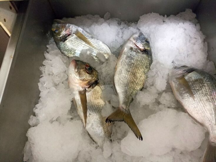 Στο Σκάλωμα στον Βαρνάβα για φρέσκο ψαράκι