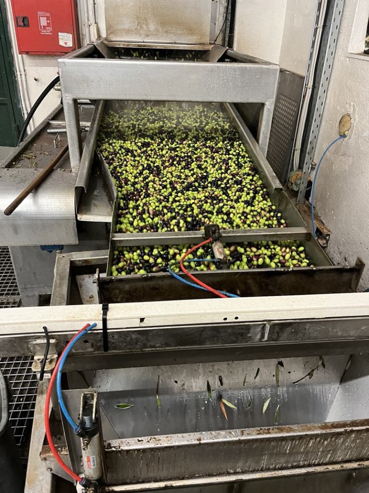 Σε τενεκέδες το πρώτο λάδι του δήμου Θεσσαλονίκης - Αναζητείται όνομα 