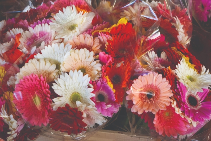 Ανθαγορά Αθηνών: Η καρδιά του ελληνικού λουλουδιού χτυπάει στη Ριζούπολη