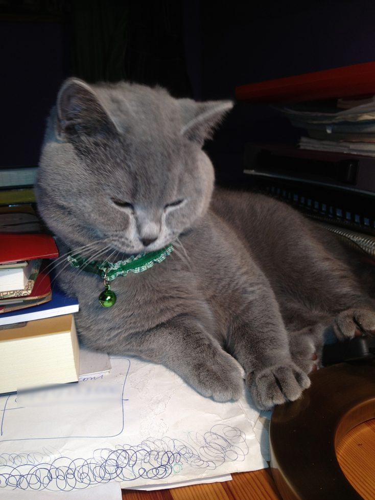 Ο καινούργιος γάτος της Λένας Διβάνη, ο Γκαστόν