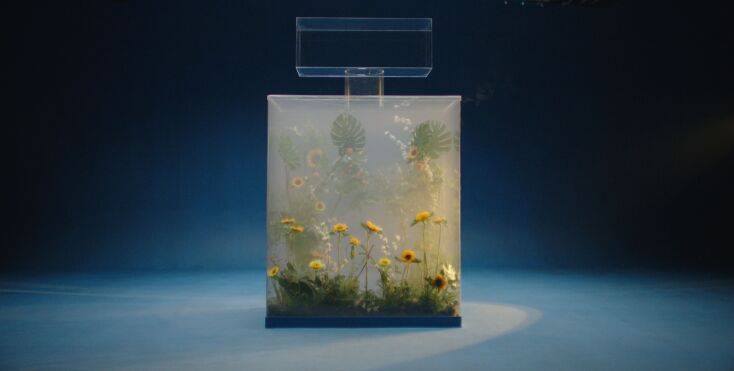 2024_12_16_dt_dust_cream_tvc_d_c_perfumes_2024_1