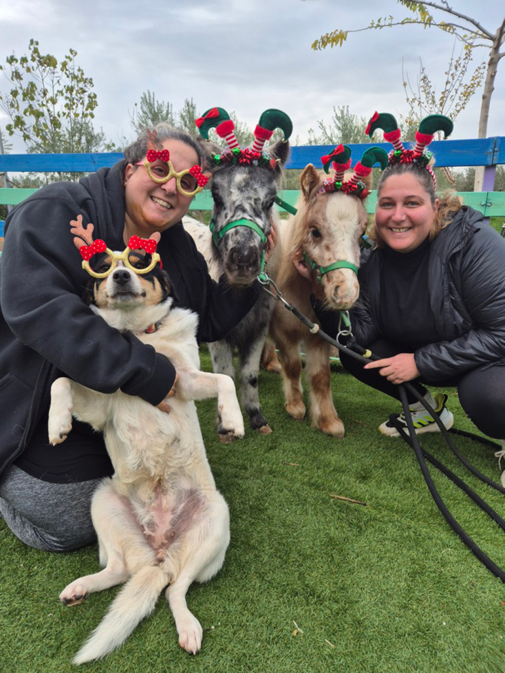Χριστούγεννα στη φάρμα Άμπελος Βοχαϊκού… φυσικά!