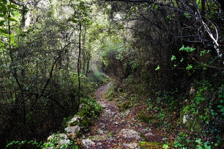 Oδοιπορικό σε γνωστά και κρυφά μονοπάτι του νομού Χανίων
