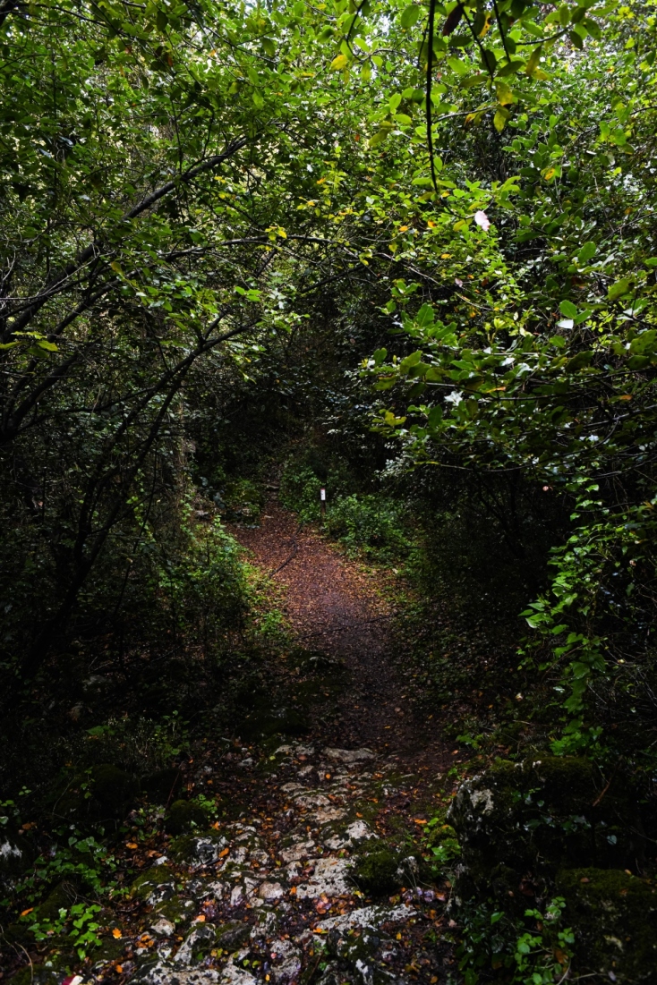 Oδοιπορικό σε γνωστά και κρυφά μονοπάτι του νομού Χανίων