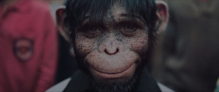 Better Man: Η ιστορία πίσω από την πρωτότυπη βιογραφική ταινία για τον Ρόμπι Γουίλιαμς, που κάνει πρεμιέρα στους ελληνικούς κινηματογράφους στις 2 Ιανουαρίου 2025.