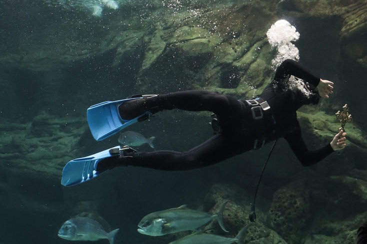 Δύτης βούτηξε στη δεξαμενή του ενυδρείου για να πιάσει τον Σταυρό