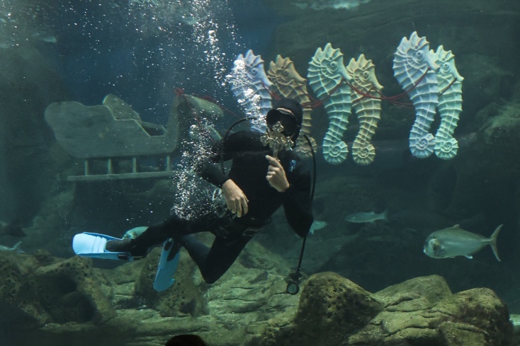 Θεοφάνεια και στο CRETAquarium