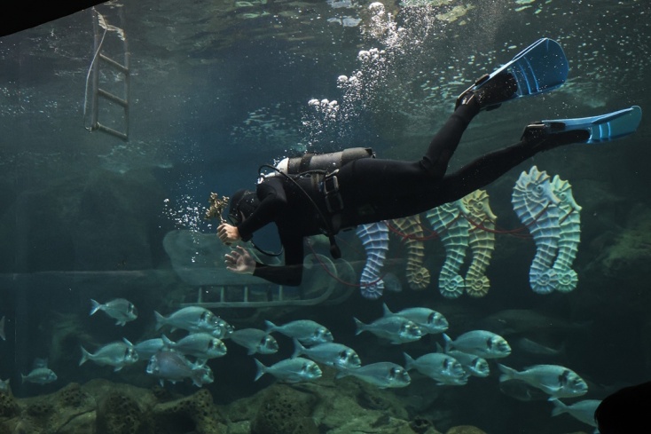 Δύτης έπιασε τον Σταυρό 