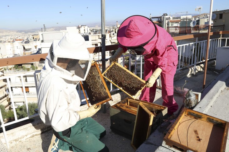 Μελισσοκόμοι