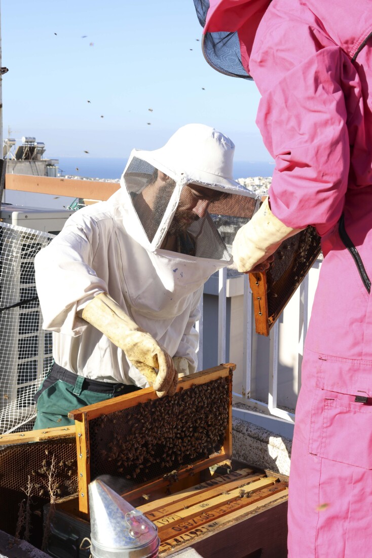 Μελισσοκόμοι