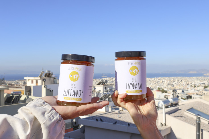 Μελισσοκόμοι