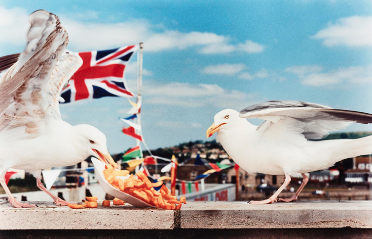 Martin Parr
