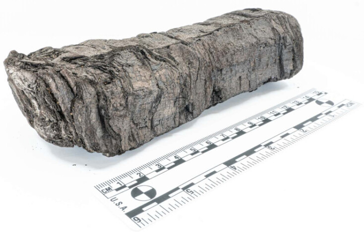 Αποκρυπτογραφήθηκε με τη βοήθεια τεχνητής νοημοσύνης πάπυρος που απανθρακώθηκε στην έκρηξη του Βεζούβιου - Πρώτη ματιά στο εσωτερικό του εδώ και 2.000 χρόνια 