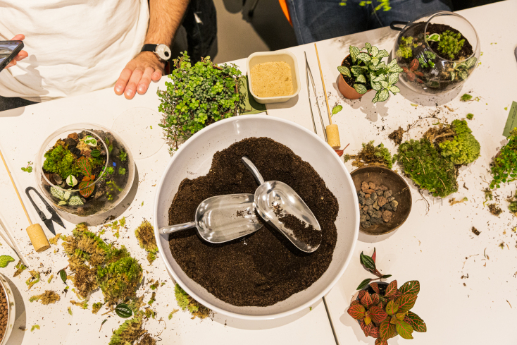 Terrarium Terrarium