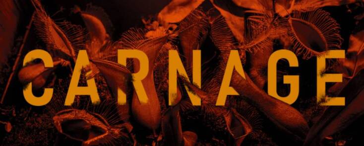 Carnage: Μια παράσταση - «σφαγή» στο ΠΛΥΦΑ
