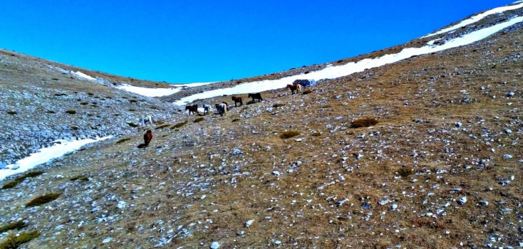 Από την «έξω Δράμα» στο Φαλακρό