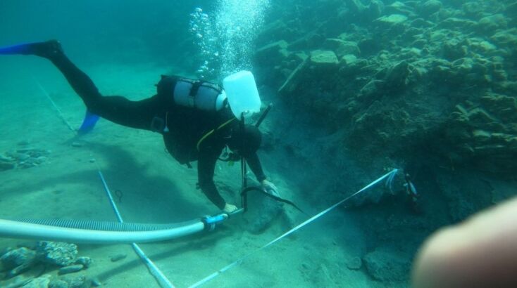 Εργασίες πεδίου στον πυθμένα της θάλασσας κατά την ερευνητική περίοδο του 2024 