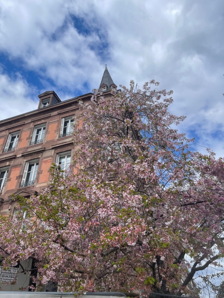 Αποστολή στο Ευρωκοινοβούλιο: Κατάδυση στο εσωτερικό μιας δημοκρατικής Βαβυλωνίας