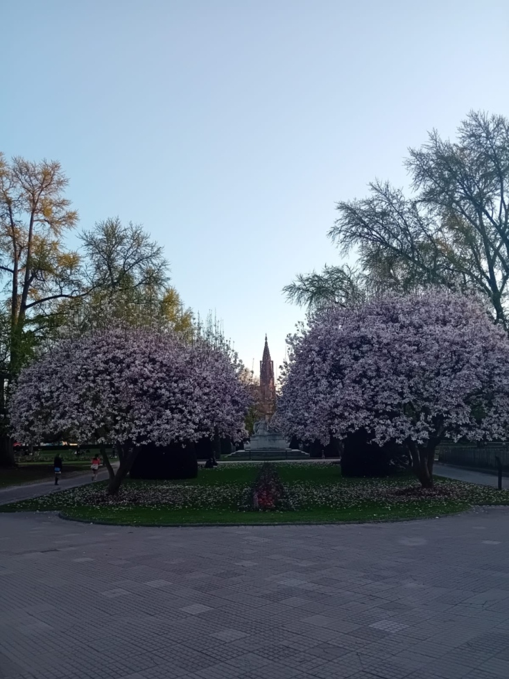 Αποστολή στο Ευρωκοινοβούλιο: Κατάδυση στο εσωτερικό μιας δημοκρατικής Βαβυλωνίας