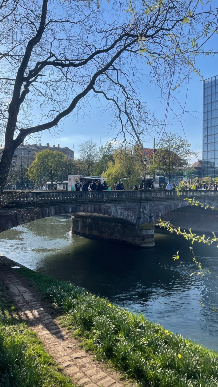 Αποστολή στο Ευρωκοινοβούλιο: Κατάδυση στο εσωτερικό μιας δημοκρατικής Βαβυλωνίας