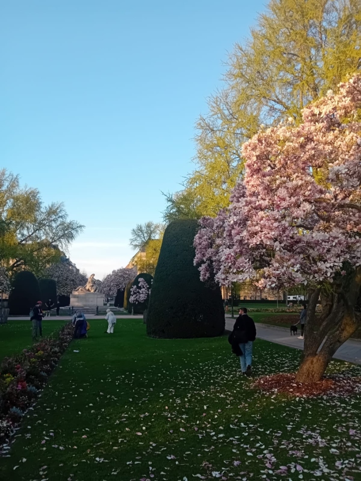 Αποστολή στο Ευρωκοινοβούλιο: Κατάδυση στο εσωτερικό μιας δημοκρατικής Βαβυλωνίας