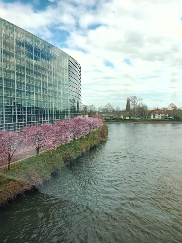 Αποστολή στο Ευρωκοινοβούλιο: Κατάδυση στο εσωτερικό μιας δημοκρατικής Βαβυλωνίας